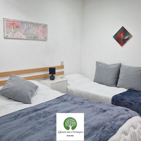 Quinta Das Carboncas 法菲 外观 照片