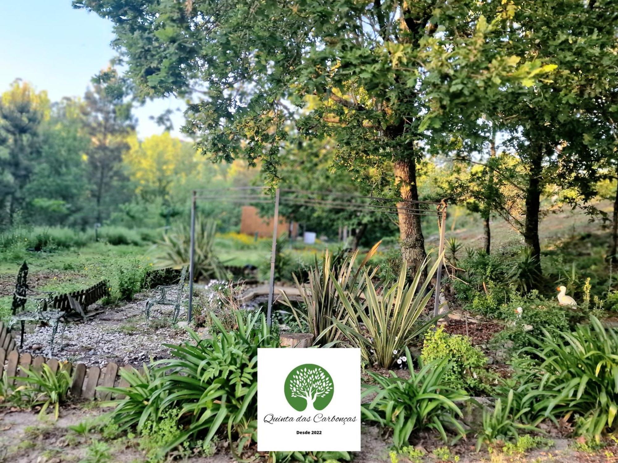 Quinta Das Carboncas 法菲 外观 照片